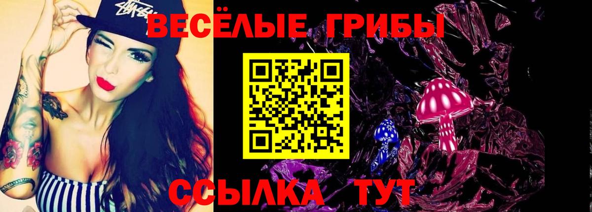 Галлюциногенные грибы Cubensis  Вход с VPN  наркошоп  Лиски 